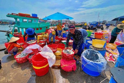 Phú Quốc đề xuất sau sáp nhập được mang tên đặc khu