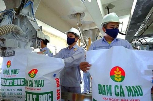 Đạm Cà Mau (DCM) thận trọng hạ mục tiêu lợi nhuận 2025 dù dự báo thị trường phân bón khởi sắc