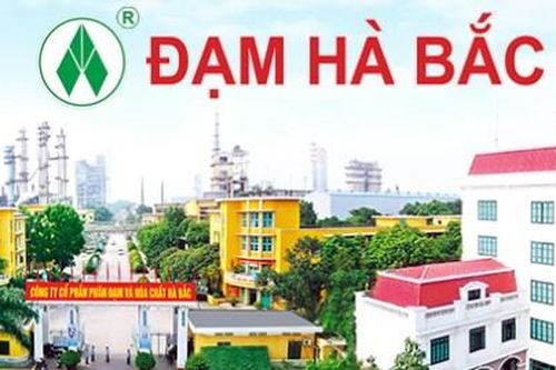 Đạm Hà Bắc (DHB) đối mặt cảnh báo duy trì do kiểm toán ngoại trừ 4 năm liên tiếp liên quan đến dự án mở rộng