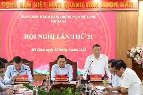 Mê Linh dành hơn 535 tỷ đồng xây dựng 10 khu hạ tầng đất dịch vụ