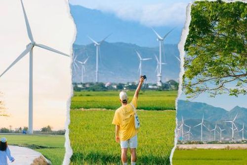 Cánh đồng điện gió tại Ninh Thuận: 'Tọa độ' check-in cho những trái tim mùa Hè