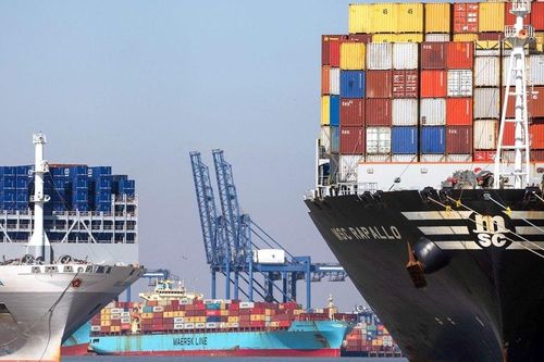 Công ty Algeria muốn mua hơn 2.000 container, cơ hội cho DN Việt