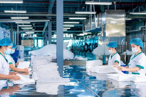 Doanh nghiệp Việt nỗ lực tìm đường phát triển