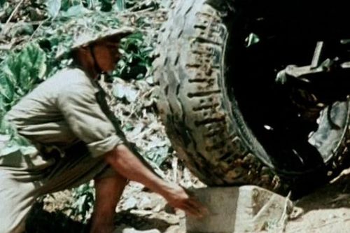 Hãng phim Tài liệu và Khoa học Trung ương trình chiếu miễn phí 29 bộ phim xuất sắc năm 2024