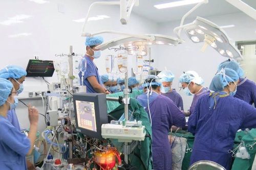 Đề xuất nhiều chi phí hiến, ghép tạng được bảo hiểm y tế thanh toán