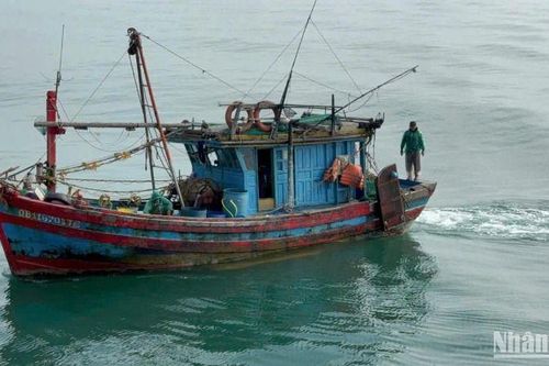 Tạm giữ 2 tàu cá hoạt động sai quy định trên vùng biển Quảng Trị