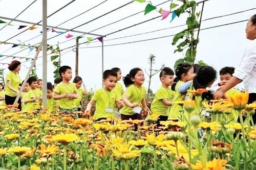 Hà Nội ban hành kế hoạch phát triển ngành nghề nông thôn năm 2025