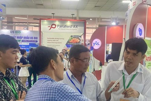 Xanh hóa vùng nuôi để phát triển bền vững ngành tôm