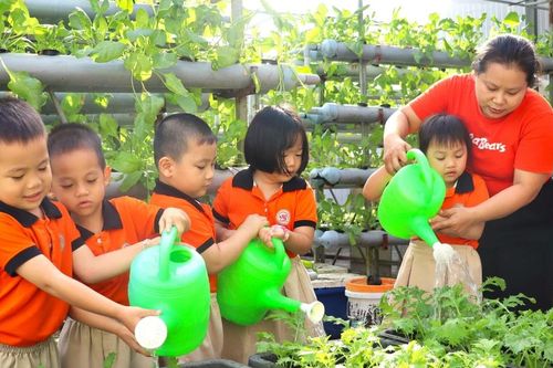 Rau sạch vườn trường