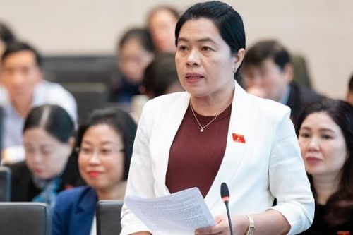 Đại biểu Quốc hội đề nghị bổ sung danh mục sản phẩm gây mất an toàn vào trong luật