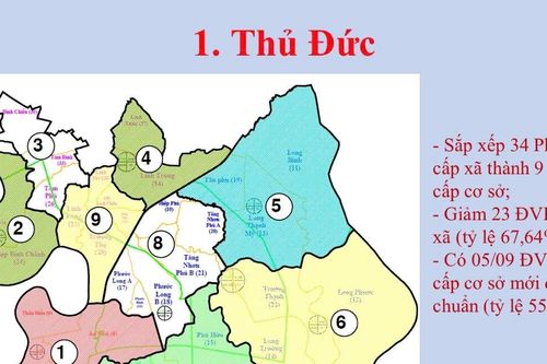 Đề xuất TP Thủ Đức là cấp cơ sở hoặc lập 9 phường Thủ Đức gắn với số thứ tự