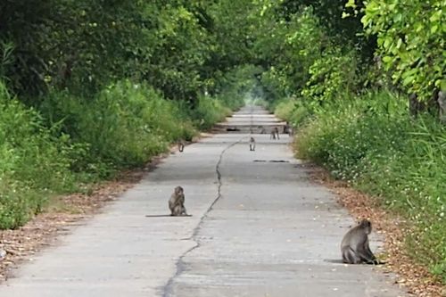 Thi công nâng cấp tuyến đường trị giá 13 tỷ nhưng gây thiệt hại gần 11 tỷ đồng