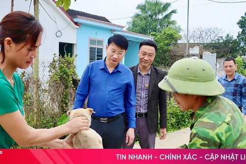 Đức Thọ triển khai tiêm phòng cho hơn 99.000 vật nuôi đợt 1/2025