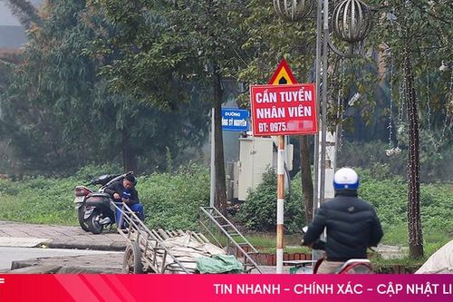 Biển báo bị che khuất, xuống cấp 'làm khó' người đi đường