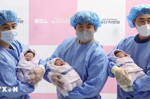 Hàn Quốc ghi nhận số trẻ sơ sinh chào đời tăng tháng thứ bảy liên tiếp