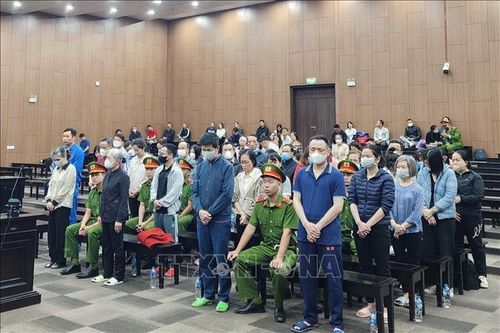 Vụ mua bán hơn 19.000 hóa đơn: Bị cáo Nguyễn Đăng Thuyết bị đề nghị từ 15-16 năm tù