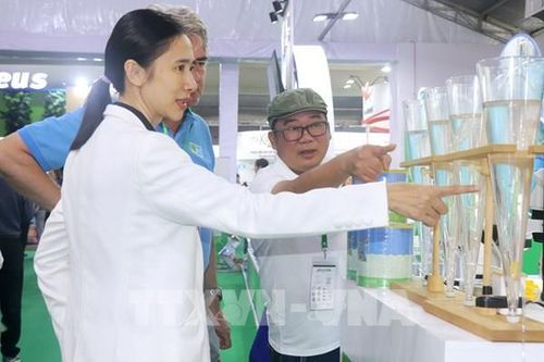 Duy trì vị thế ngành tôm trên thị trường toàn cầu