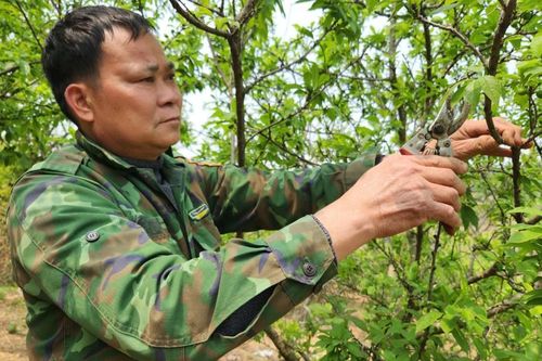 Gương sáng nông dân làm kinh tế giỏi