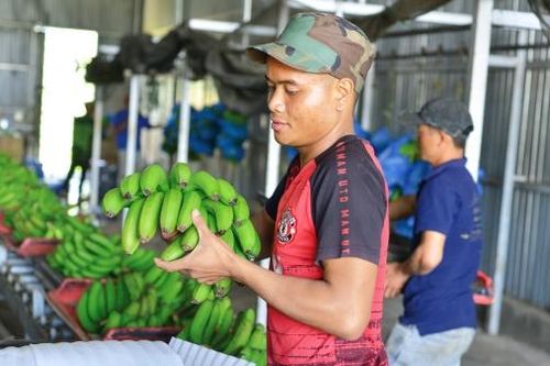 Đam Rông: Kết quả từ Nghị quyết số 07