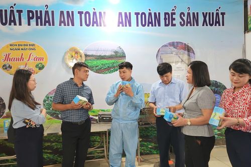 Nâng tầm nông sản, nâng cao thu nhập