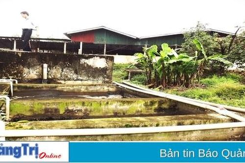 Cần đầu tư hoàn thiện hạ tầng kỹ thuật bảo vệ môi trường ở cụm công nghiệp