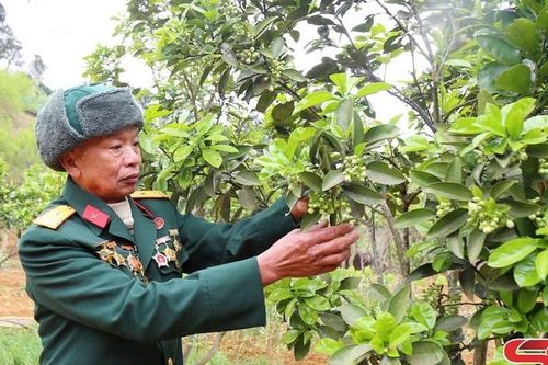 Người lính trong chiến dịch Hồ Chí Minh