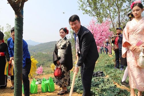 Hạ Long: Hoa nở xanh hóa đất rừng