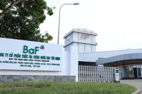 BaF Việt Nam chào bán thành công 65 triệu cổ phiếu