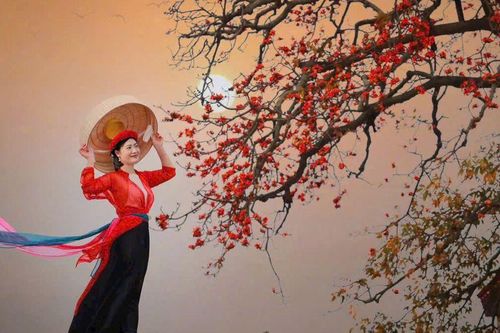 Bắc Giang: Cây Gạo xã Lãng Sơn - Hồn quê và biểu tượng văn hóa di Sản