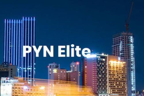 Pyn Elite Fund đang đánh giá cao nhóm cổ phiếu nào?