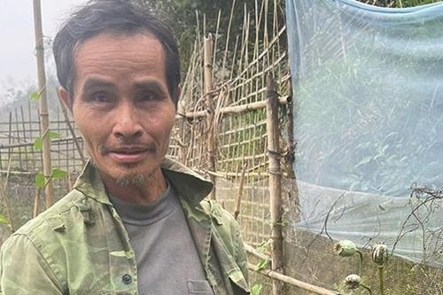 Giăng lưới, biến vườn rau thành vườn thuốc phiện