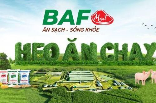 BaF Việt Nam (BAF) tiếp tục chào bán 11,5 triệu cổ phiếu BAF chưa phân phối hết trong đợt phát hành riêng lẻ