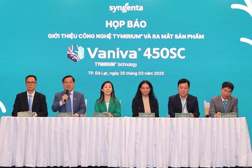 Đã có thuốc đặc trị bệnh vàng lá thối rễ trên cây trồng