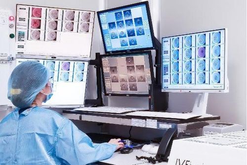 Kỳ tích người phụ nữ 42 tuổi có con sau 18 lần thụ tinh ống nghiệm thất bại