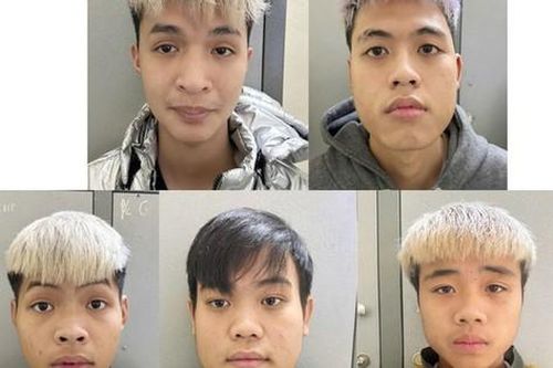 Nhóm 'báo con' bày mưu đi cướp