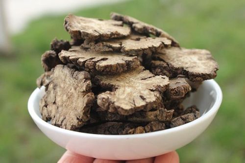 Vị thuốc quý của người mắc chứng đau nửa đầu