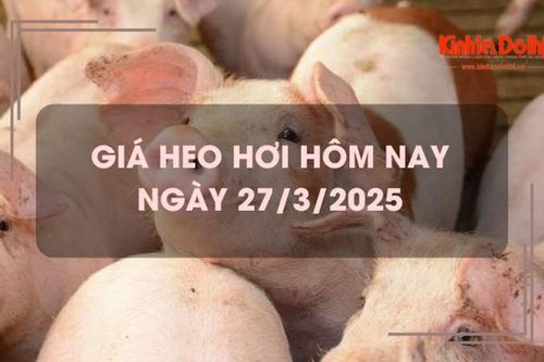 Giá heo hơi hôm nay 27/3: giảm rải rác 1.000 - 2.000 đồng/kg