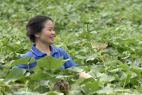 Thanh niên dân tộc thiểu số với khát vọng xây dựng quê hương