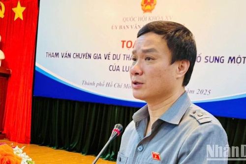 Tham vấn chuyên gia về Dự thảo Luật sửa đổi, bổ sung một số điều của Luật Quảng cáo