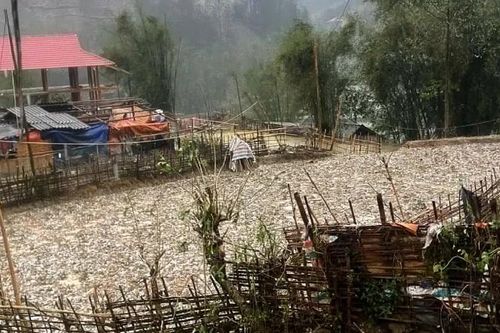 Mưa đá, dông lốc gây thiệt hại tại Điện Biên và Sơn La