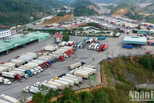 Tổng kim ngạch xuất, nhập khẩu qua Lạng Sơn trong quý I/2025 đạt hơn 13,5 tỷ USD
