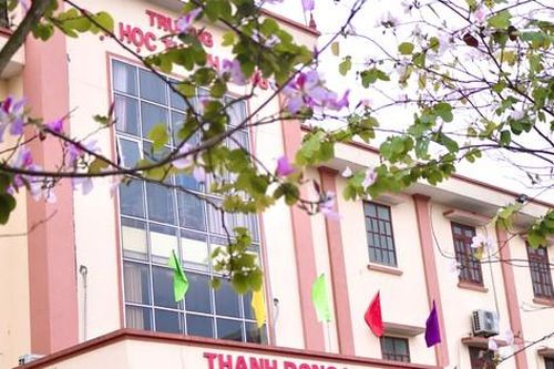 Mùa hoa ban trên giảng đường: Sắc hoa của ước mơ và trưởng thành