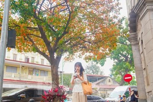 Tháp nước Hàng Đậu khác lạ, người người đến check-in