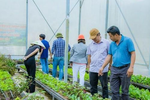 Farmstay gần 22ha ở Đắk Nông đang hoạt động bỗng dưng bị 'khai tử'