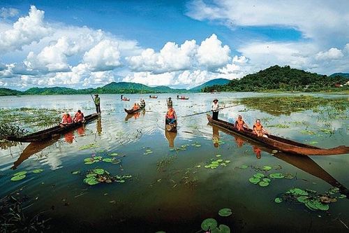 Sống lại plung