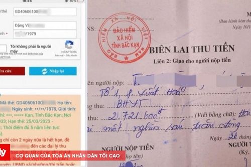 Tham ô tiền bảo hiểm, cựu cán bộ phường vào tù