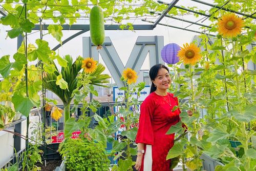 Mẹ đảm ở Đồng Nai làm vườn sân thượng 100m2, cho dưa 'nằm võng, ngủ giàn'