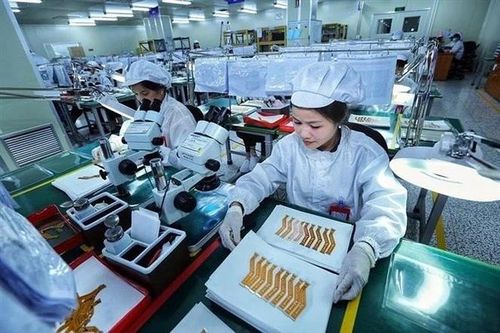 Mô hình S.T.I.D giúp Việt Nam phát triển một xã hội số hiện đại và bền vững