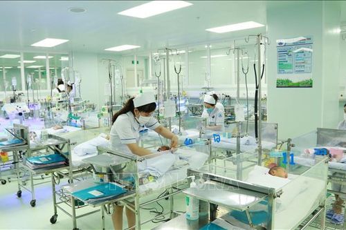 Đảng viên sinh con thứ 3 trở lên không bị kỷ luật