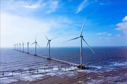 Trà Vinh chấp thuận chủ trương đầu tư 5 dự án nhà máy điện gió trị giá hơn 13.830 tỷ đồng